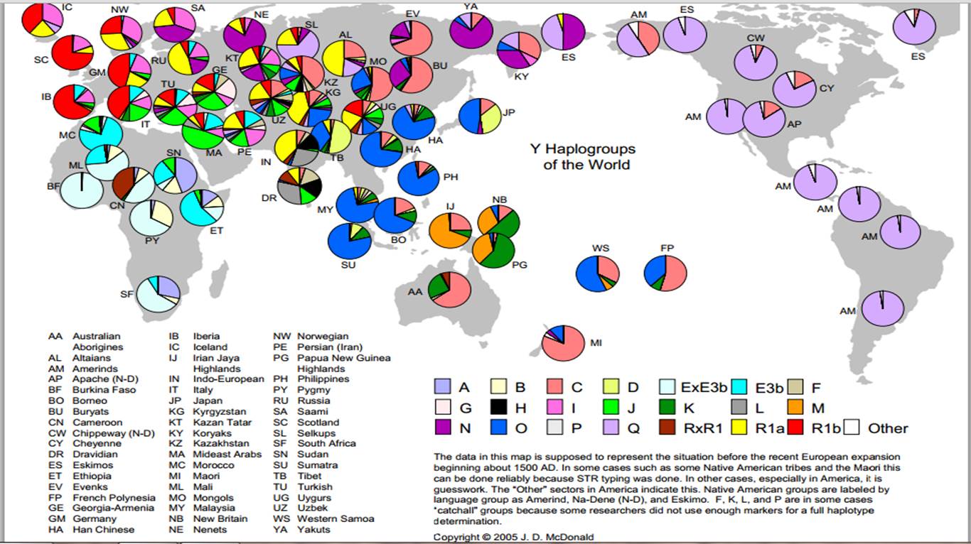 South east asia Y DNA